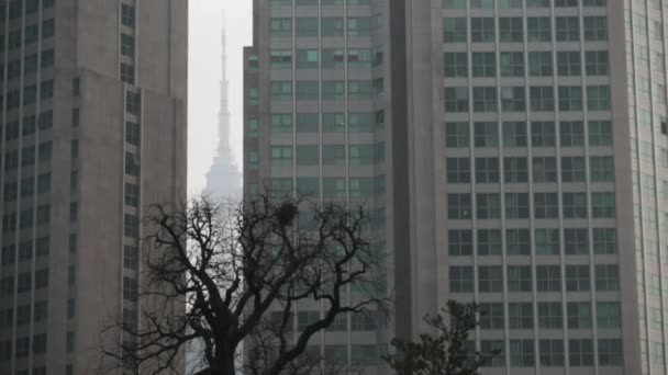 Vista del centro y la torre de Seúl — Vídeos de Stock