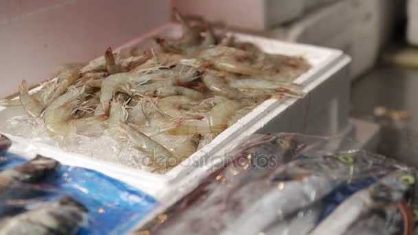 Мідії, креветки, молюски та риби, закладені — стокове відео