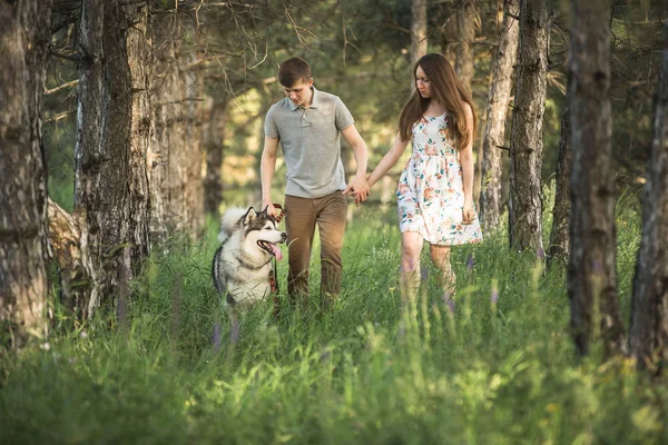 Paar mit Hund — Stockfoto