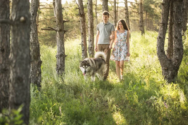 Paar mit Hund — Stockfoto