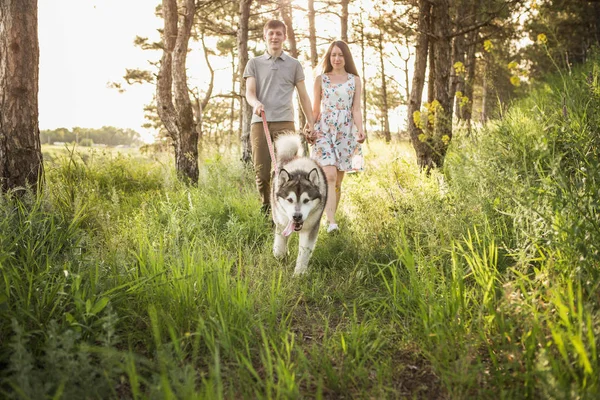 Paar mit Hund — Stockfoto