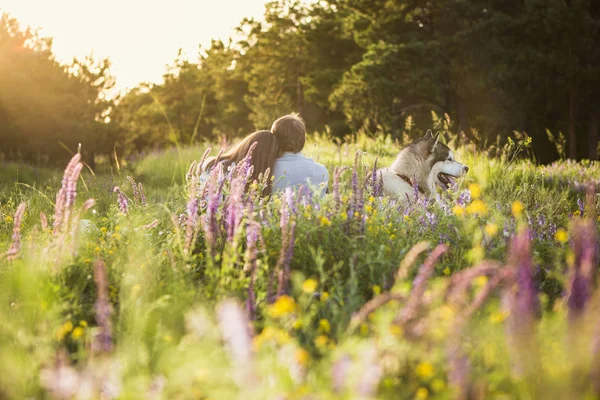 Couple avec un chien — Photo