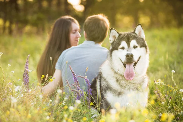 Paar mit Hund — Stockfoto