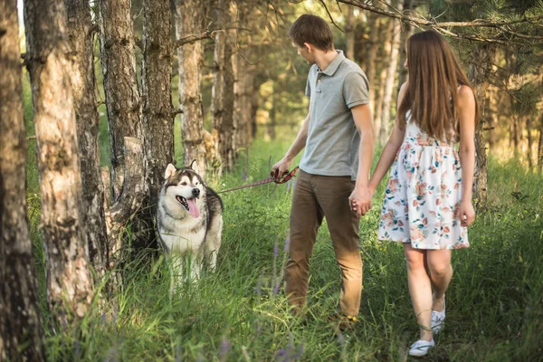 Paar mit Hund — Stockfoto