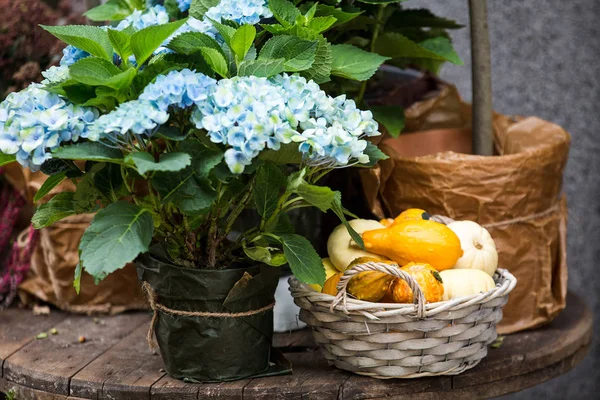 Flores e legumes de outono em cesta de vime — Fotografia de Stock