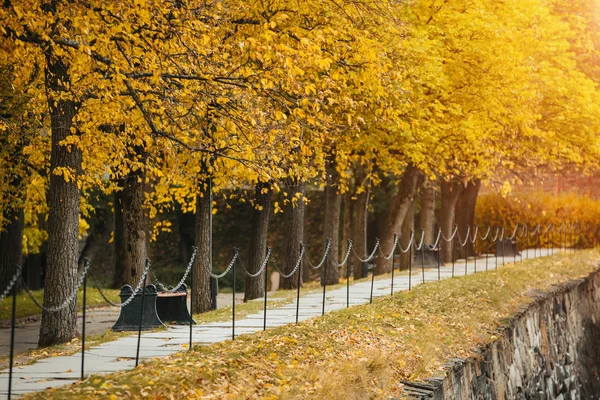 Podzimní park s lavičkami — Stock fotografie