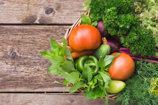 Verduras frescas maduras — Foto de Stock