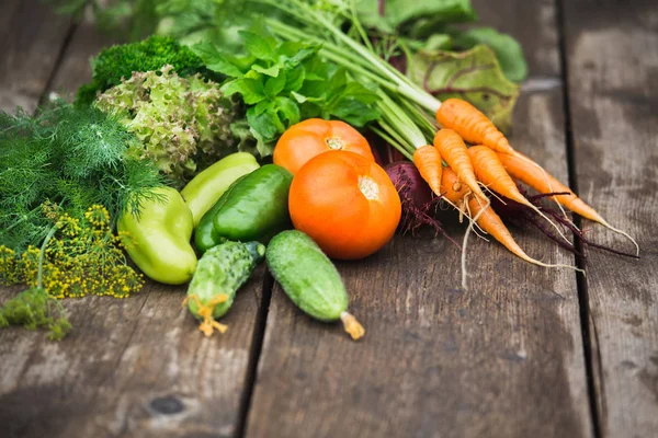 Verduras frescas maduras — Foto de Stock