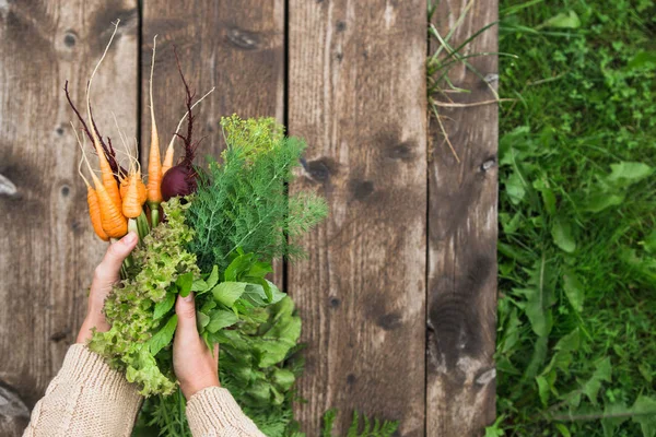 Manos sosteniendo verduras frescas maduras — Foto de Stock