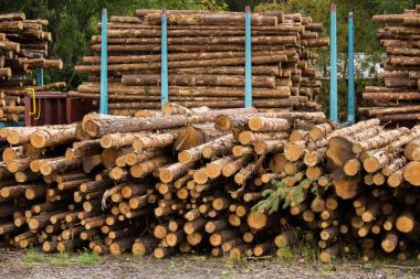 Stock of timber. clipart