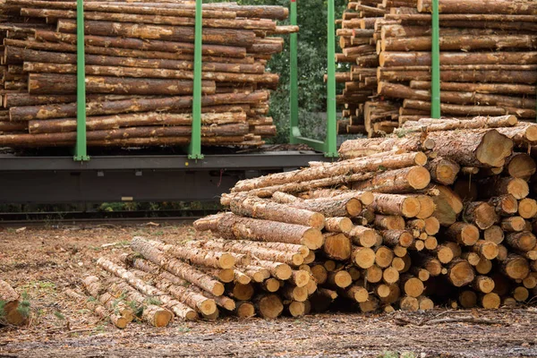 Holzvorrat. — Stockfoto