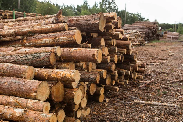 Holzvorrat. — Stockfoto