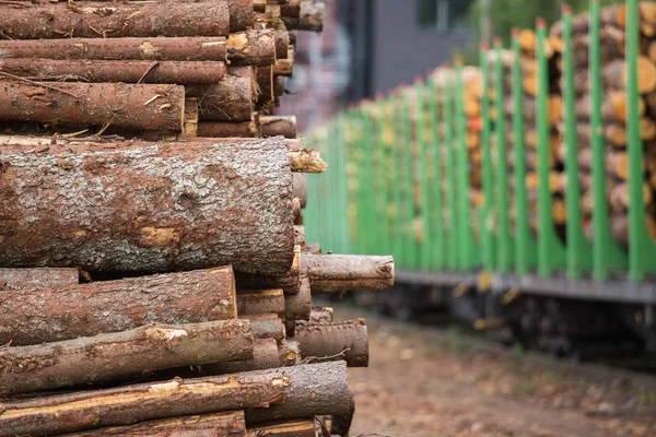 Existencia de madera . — Foto de Stock