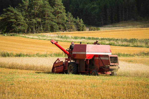 Combineer de oogstmachine op een veld — Stockfoto