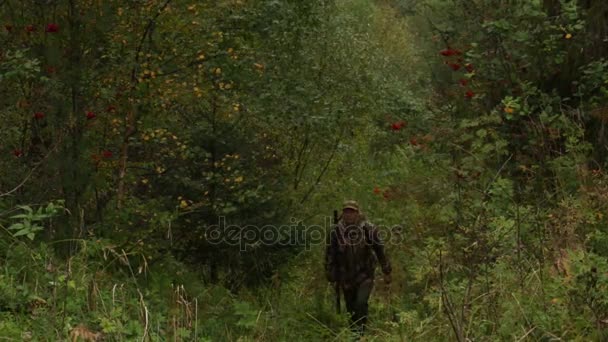Hombre cazador caminando por el bosque — Vídeos de Stock