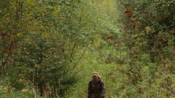 Muž lovec chůze lesem — Stock video
