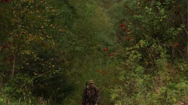Male hunter walking through forest — Stock Video
