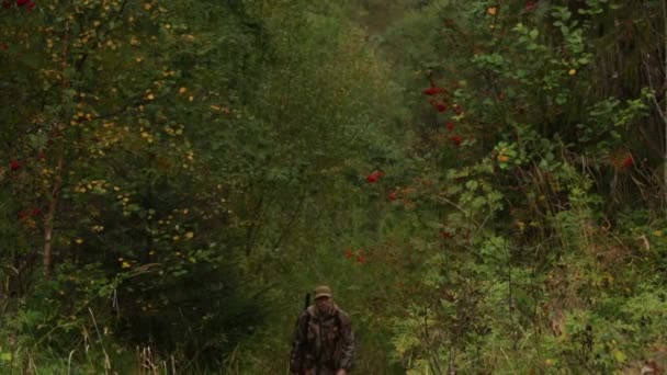 Hombre cazador caminando por el bosque — Vídeos de Stock