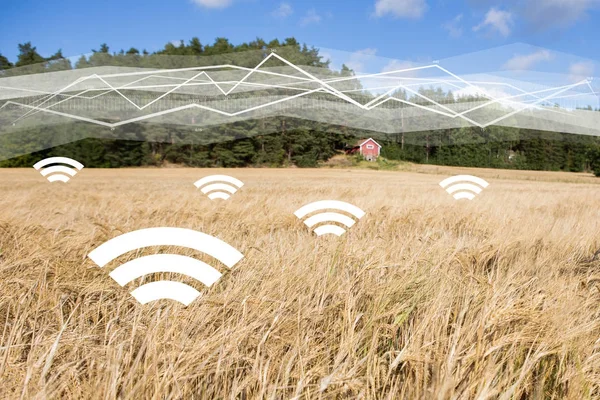 Un campo de trigo con símbolos de intercambio inalámbrico de datos. Tecnologías digitales en la agricultura . —  Fotos de Stock