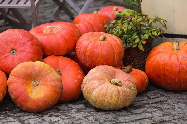 Arredamento autunnale con zucche — Foto Stock