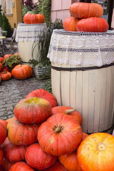 Arredamento autunnale con zucche — Foto Stock