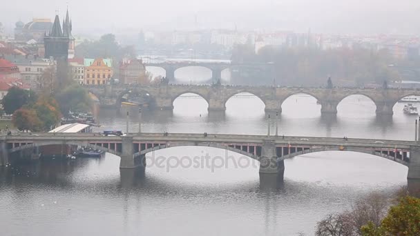 Pohled Shora Řeky Vltava Pražské Mosty — Stock video