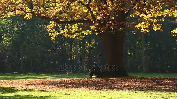 Man zit op de wortels van de boom in het park — Stockvideo