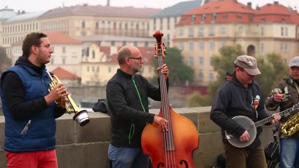 Zenészek, zenét játszik a Károly-híd — Stock videók