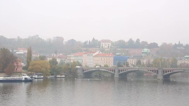 Bateau de plaisance flottant sur la rivière Vltava — Video