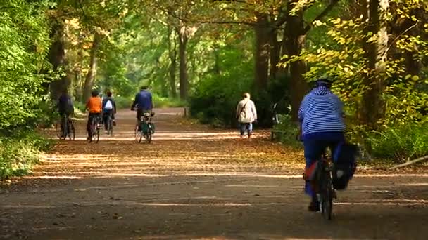 Personas montando en bicicleta a lo largo de callejón en parque — Vídeo de stock