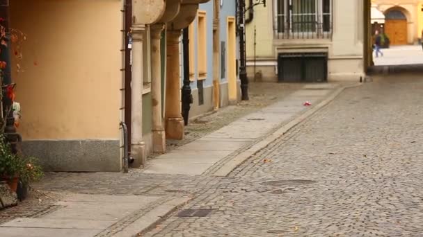 Γυναίκα Ταξιδιώτη Χάρτη Που Ψάχνει Για Την Οικοδόμηση Ευρωπαϊκή Πόλη — Αρχείο Βίντεο