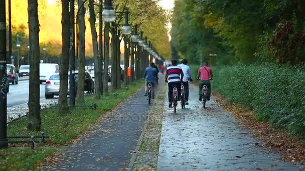 Cyclists Pedestrians Resting Autumn Park — Vídeos de Stock