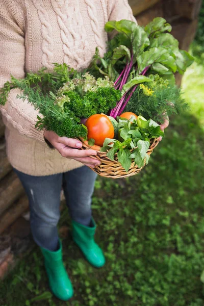 Vrouw houdt een mandje met groenten. — Stockfoto