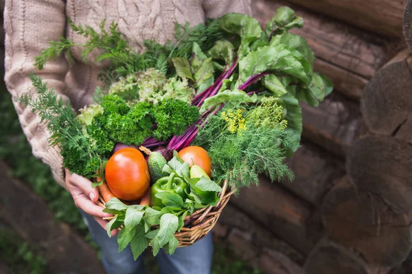 Mujer está sosteniendo una cesta de verduras . — Foto de Stock