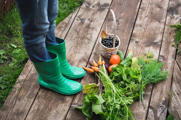 Frau in Gummistiefeln im Garten mit Gemüse. — Stockfoto