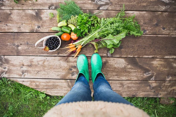 Vrouw in rubberen laarzen in de tuin met groenten. — Stockfoto