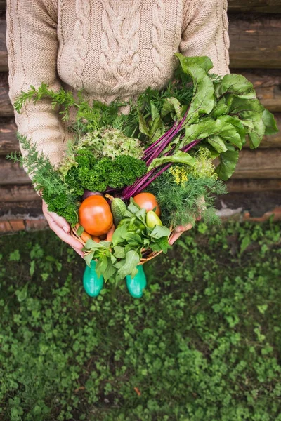 Vrouw houdt een mandje met groenten. — Stockfoto