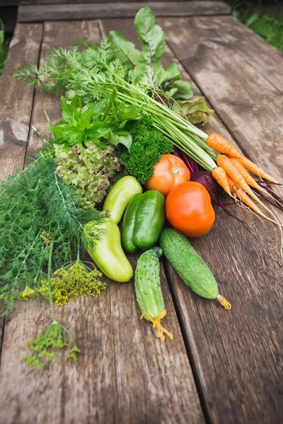 Primeros planos de las verduras frescas . — Foto de Stock