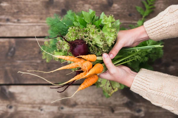 Primer plano de las manos femeninas con verduras . — Foto de Stock