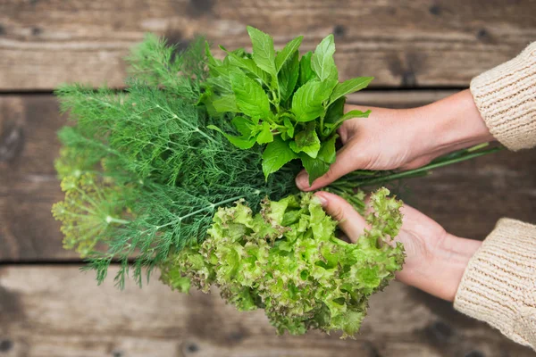 Primo piano di mani femminili con verdure . — Foto Stock