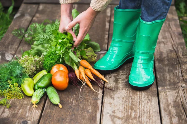 Жінка в гумових чоботях в саду з овочами . — стокове фото