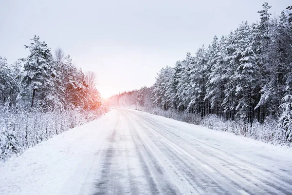 Camino de invierno a través del bosque —  Fotos de Stock