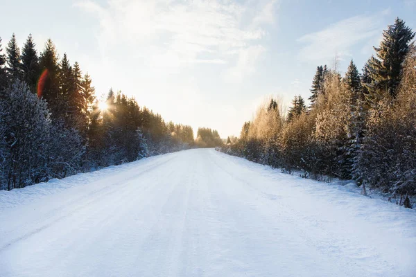 Zimowa droga przez las — Zdjęcie stockowe