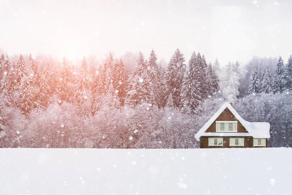 Drewniany dom z śniegu na dachu w tle lasu. — Zdjęcie stockowe