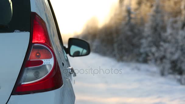 冬の道路上の車 背面ライトのクローズ アップ 点滅アラーム — ストック動画