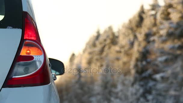 Samochód Zimowych Drogach Zbliżenie Tylne Światło Miga Alarm — Wideo stockowe