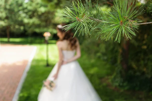 Blurred background with the bride. — Stock Photo, Image