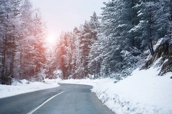 Camino de invierno de montaña — Foto de Stock