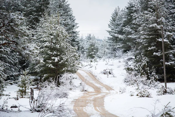 Camino de invierno de montaña —  Fotos de Stock