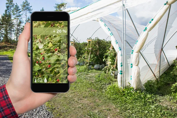 Internet delle cose in agricoltura e agricoltura intelligente — Foto Stock